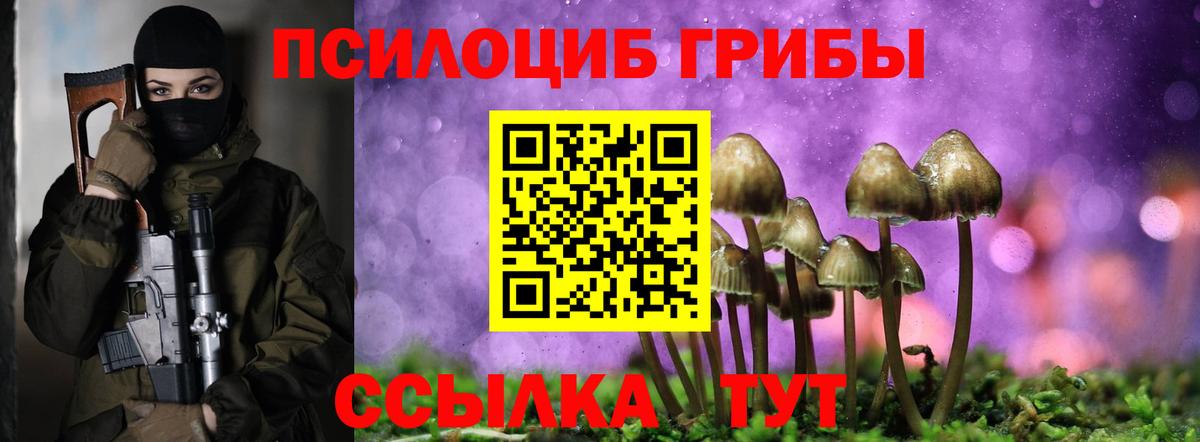 Псилоцибиновые грибы ЛСД  Псилоцибиновые грибы прущие грибы  Грязи  Вход с VPN 